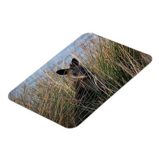 Wie ben jij? magneet (Linkerzijde)