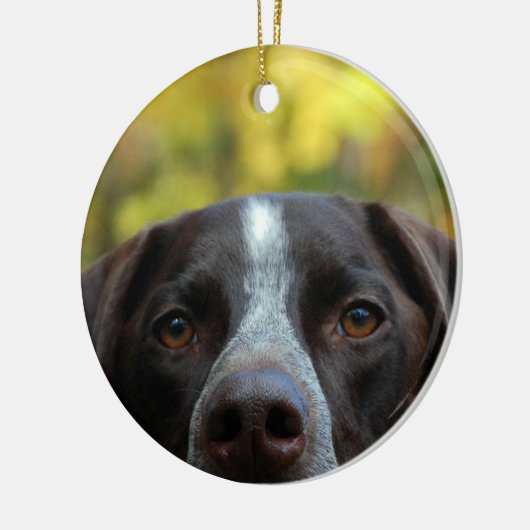 Wie dat doet keramisch ornament (Links)