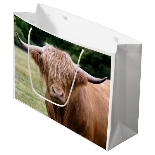 Wie deed de lichten uit cadeautas (Voorkant Gekanteld)