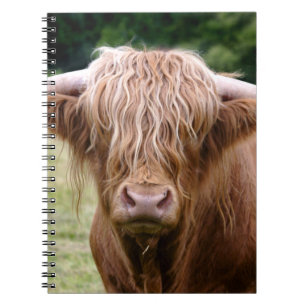 Wie deed de lichten uit Notitieboekje Notitieboek