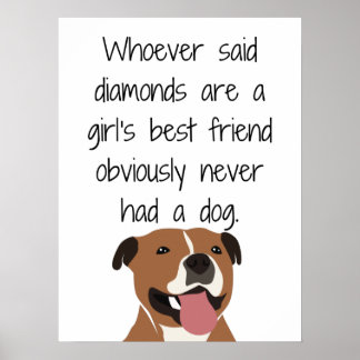 Wie diamanten ook heeft gezegd, is een beste vrien poster