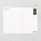 Wie draagt korte korsten? briefkaart (Achterkant)