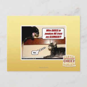 Wie durft me wakker te maken? briefkaart