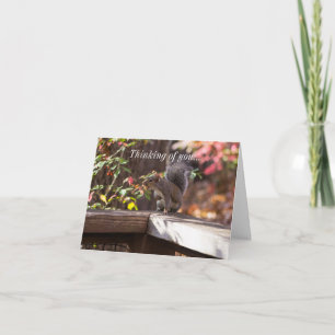 Wie gaat daar denken aan je Kaart? Kaart