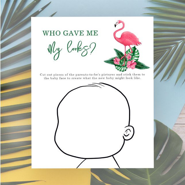 Wie gaf mij mijn uiterlijk? - Roze Flamingo (Creator heeft geüpload)