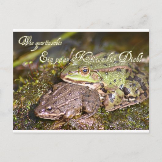 Wie gewünscht: Ein paar Kröten für Dich! Briefkaart (Voorkant)