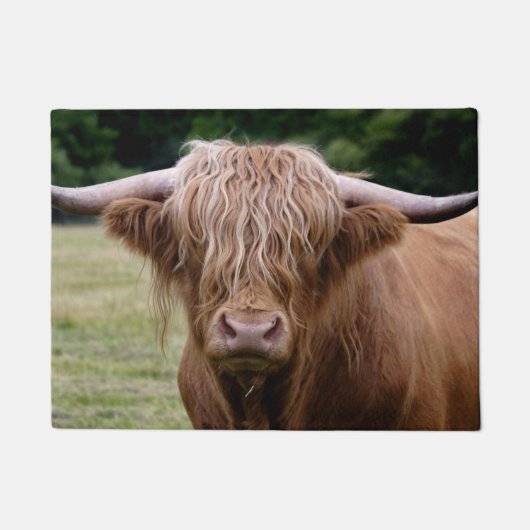 Wie heeft de lampjes uit de deurmat gezet (Voorkant)