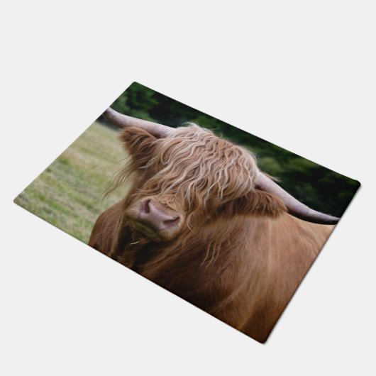 Wie heeft de lampjes uit de deurmat gezet (Schuin)