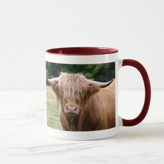 Wie heeft de Mok van de Lichten uitgezet (Rechts)