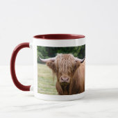 Wie heeft de Mok van de Lichten uitgezet (Links)