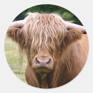 Wie heeft de Sticker van de Lichten uitgezet