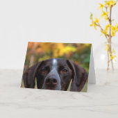 Wie heeft die Dog? Kaart (Gele Bloem)