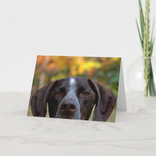 Wie heeft die Dog? Kaart