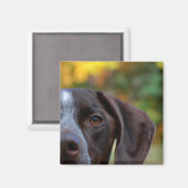 Wie heeft die Dog? Magneet (Voorkant / Achterkant)