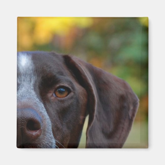 Wie heeft die Dog? Magneet (Voorkant)