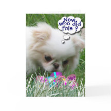 Wie heeft dit gedaan?