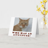 Wie heeft een Attitude Cat Wenskaart Kaart (Gele Bloem)