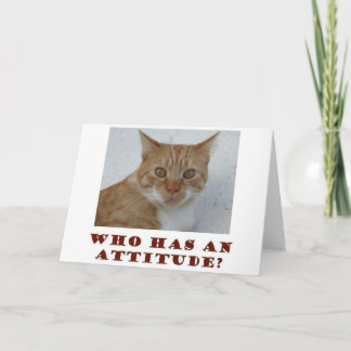 Wie heeft een Attitude Cat Wenskaart Kaart