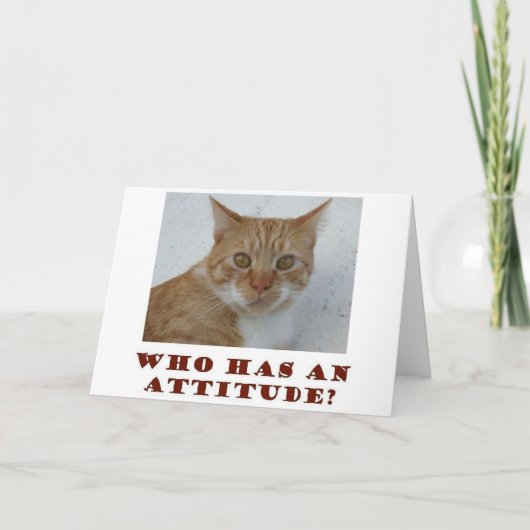 Wie heeft een Attitude Cat Wenskaart Kaart (Voorkant)