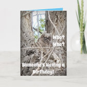 Wie heeft een verjaardag Baby Uil in Tree Kaart (Voorkant)