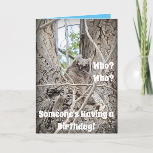 Wie heeft een verjaardag Baby Uil in Tree Kaart (Voorkant)