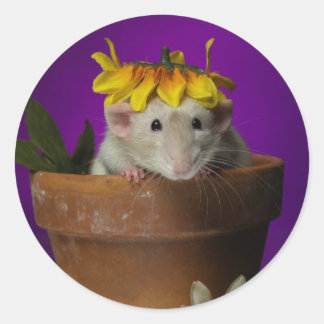 Wie heeft er in de bloemen gezeten? ronde sticker