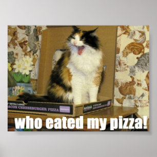 wie heeft mijn pizza geten? Funny Cat Meme Poster