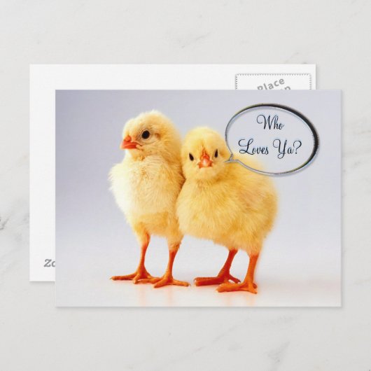 Wie houdt van je?  Briefkaart (Voorkant / Achterkant)