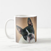 Wie ik Mok Boston Terrier (Links)