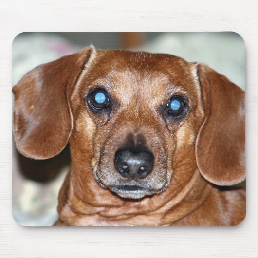 Wie ik muismat (Voorkant)