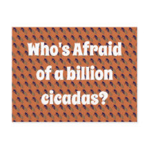 Wie is bang voor een miljard Cicaden?