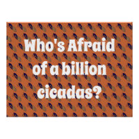 Wie is bang voor een miljard Cicaden?