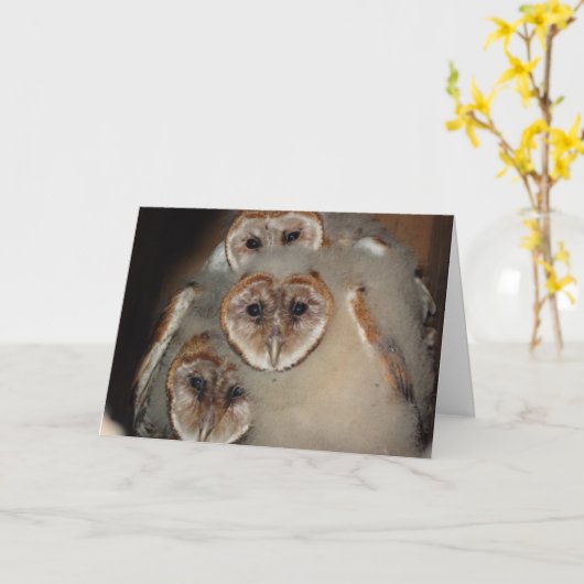 "Wie is daar?" Wenskaart van de kerkuil Kaart (Gele Bloem)
