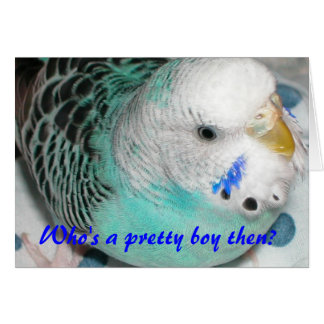 Wie is dan een  jongen?