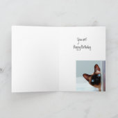 Wie is de beste 39-jarige? Cat Kitten Humor Kaart (Binnen)