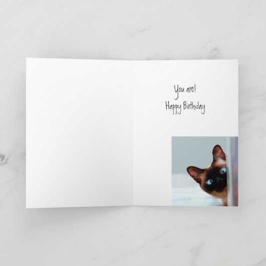 Wie is de beste 50-jarige? Kattenhumor Kaart (Binnen)