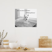 Wie is de beste van de beste? Een estie van de Nat Poster (Keuken)