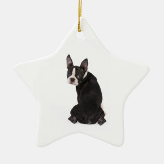 Wie is de Boston Star Ornament