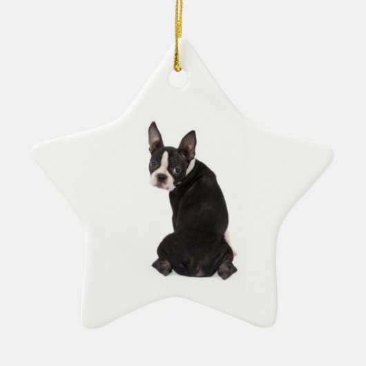Wie is de Boston Star Ornament (Voorkant)