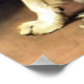 Wie is de grootste poster (Hoek)