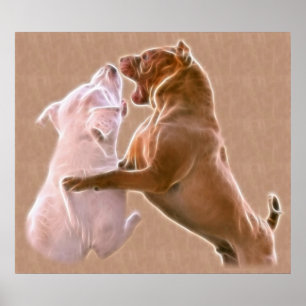 Wie is de Leader van het Pak? Poster