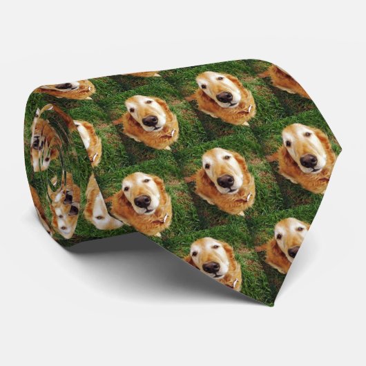 Wie is een braaf jongetje? stropdas (Opgerold)