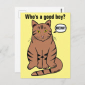 Wie is een goeie jongen? Funny Brown Tabby Cat Briefkaart (Voorkant / Achterkant)