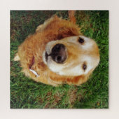 Wie is een goeie jongen? legpuzzel (Horizontaal)