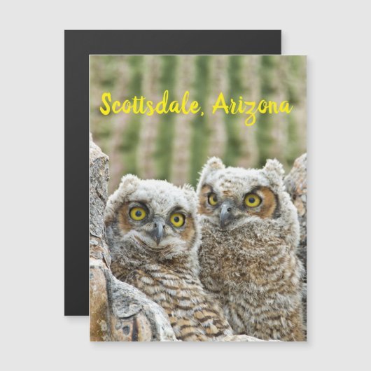 Wie is er daar? Paar van de Scottsdale van Owl, Ar (Voorkant / Achterkant)