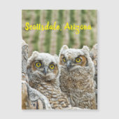 Wie is er daar? Paar van de Scottsdale van Owl, Ar (Voorkant)