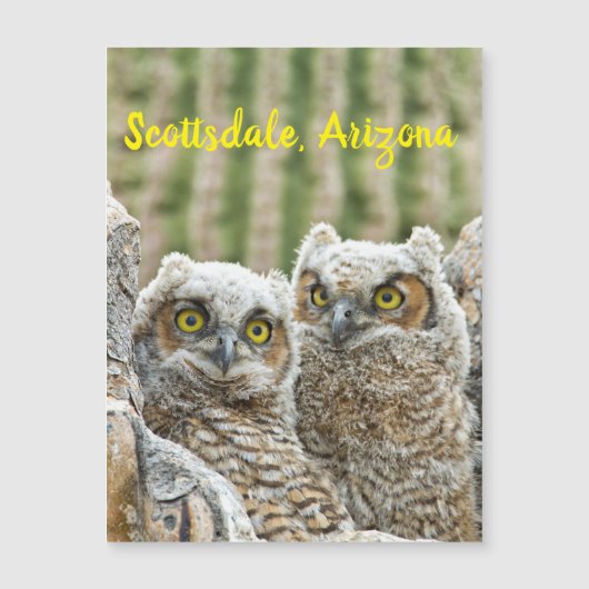 Wie is er daar? Paar van de Scottsdale van Owl, Ar (Voorkant)