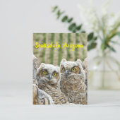 Wie is er daar? Paar van de Scottsdale van Owl, Ar Briefkaart (Staand voorkant)