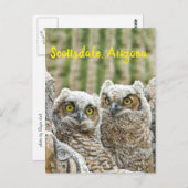 Wie is er daar? Paar van de Scottsdale van Owl, Ar Briefkaart (Voorkant / Achterkant)