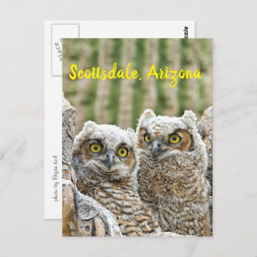 Wie is er daar? Paar van de Scottsdale van Owl, Ar Briefkaart (Voorkant / Achterkant)